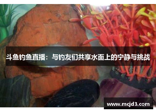 斗鱼钓鱼直播：与钓友们共享水面上的宁静与挑战