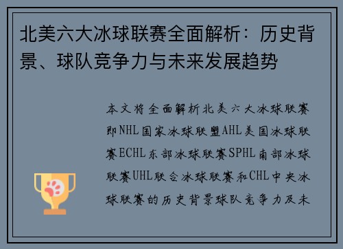 北美六大冰球联赛全面解析：历史背景、球队竞争力与未来发展趋势