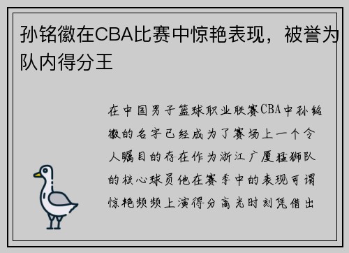 孙铭徽在CBA比赛中惊艳表现，被誉为队内得分王