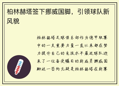 柏林赫塔签下挪威国脚，引领球队新风貌